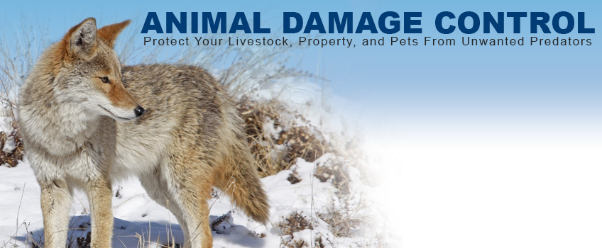 Southereastern Outdoor Supplies - Animal Damage Control Products